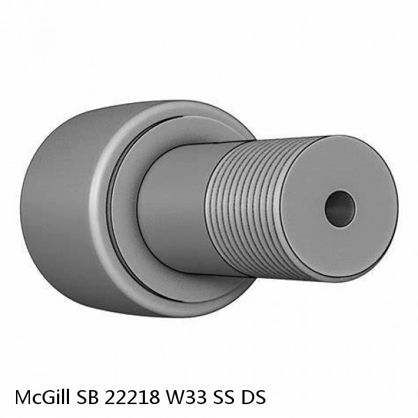 SB 22218 W33 SS DS McGill Spherical Roller Bearings