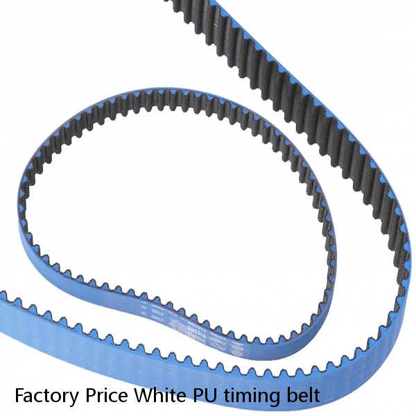 Factory Price White PU timing belt