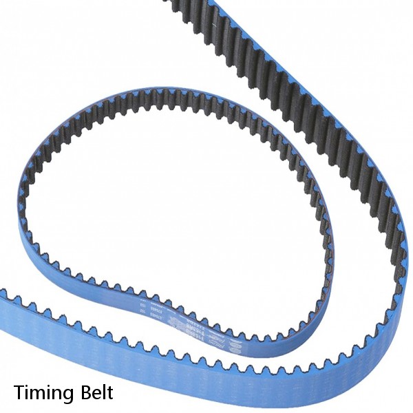 Timing Belt