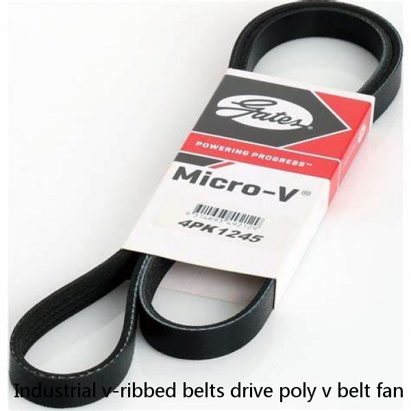 Industrial v-ribbed belts drive poly v belt fan belt auto