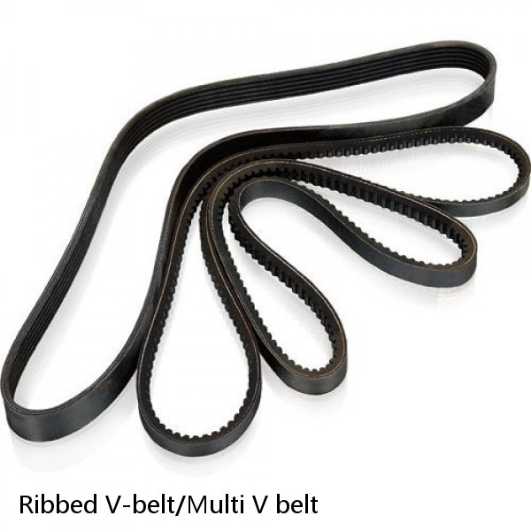 Ribbed V-belt/Multi V belt