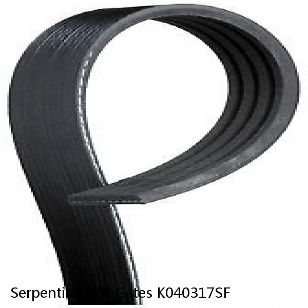 Serpentine Belt Gates K040317SF