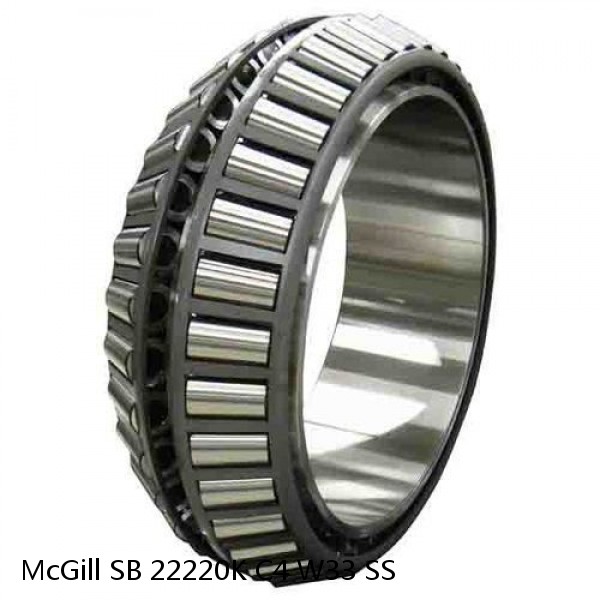 SB 22220K C4 W33 SS McGill Spherical Roller Bearings