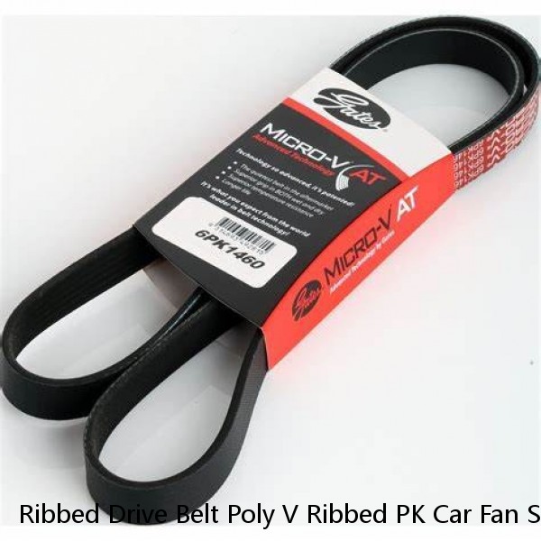 Ribbed Drive Belt Poly V Ribbed PK Car Fan Small Conveyor Drive Belt 8PK 6PK 4PK Black Rubber Round Timing Belt