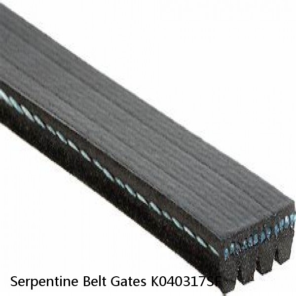 Serpentine Belt Gates K040317SF